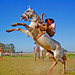 Antonio Cacho Photo 10