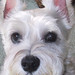 Gloria Kelsey Photo 7