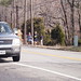 David Raley Photo 19