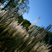 Barbara Lyons Photo 26