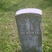 Phillip Smith Photo 33