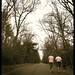 Donna Cannon Photo 15