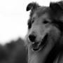 Heidi Andersen Photo 41
