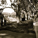 Jill Huff Photo 29
