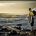 Andrew Pollock Photo 25