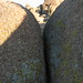 Joshua Butts Photo 12