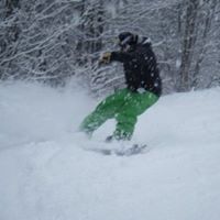 Thomas Silk Photo 19