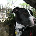 Freddie Walker Photo 11