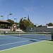 Tracy Austin Photo 28