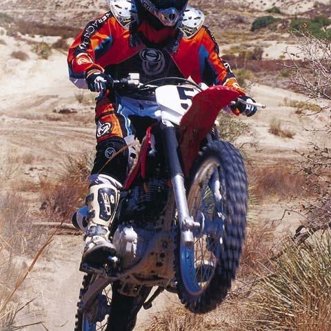 Matthew O'Toole Photo 10