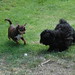 Linda Sealy Photo 18
