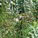 Jean Fleming Photo 34