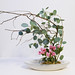 Shelli Flowers Photo 4