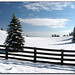 Lisa Winters Photo 10