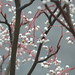 Joseph Rowan Photo 29