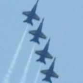 Scott Caruso Photo 26