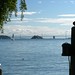 Cindy Rutherford Photo 23