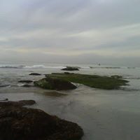 Annette Watt Photo 8