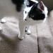 James Landers Photo 16