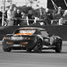 Marcus Jewell Photo 12
