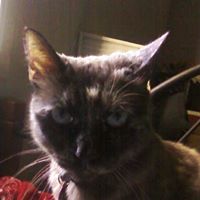 Tammy Hefner Photo 5