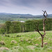 Richard Caton Photo 29