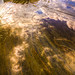 Shelly Cloud Photo 13