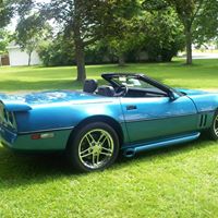 Rhonda Mckeever Photo 7