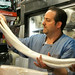 Mike Greco Photo 5