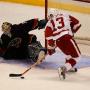 Randy Howe Photo 27