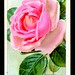Rose Conrad Photo 13