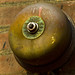 Robert Faraday Photo 12