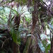 Fern Russell Photo 9