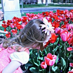Elizabeth Lund Photo 10