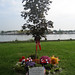 Colleen Collins Photo 8
