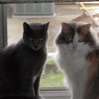 Debra Lester Photo 31