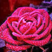 Robert Frost Photo 47