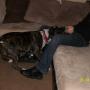 Casey Chambers Photo 29