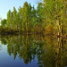 Mark Gervais Photo 25