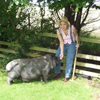 Suzanne Mccann Photo 23