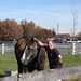 Terrie Mcconnell Photo 10