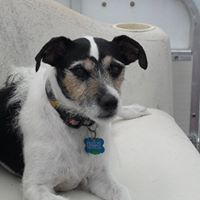 Tracy Stanfield Photo 5