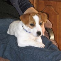 Judy Horne Photo 29