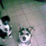 Cheryl Morton Photo 28