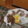 Christine Walton Photo 34