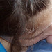 Jana Simon Photo 6