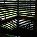Gregory Pratt Photo 30