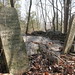 Elizabeth Vance Photo 18