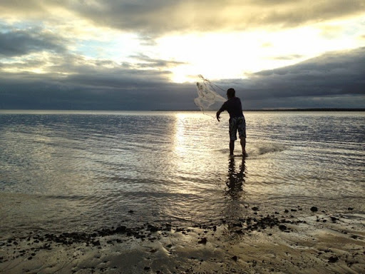 Matthew Stevens Photo 52
