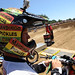 Michael Willard Photo 46
